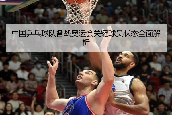 中国乒乓球队备战奥运会关键球员状态全面解析